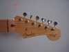 Yngwie RED 2.jpg